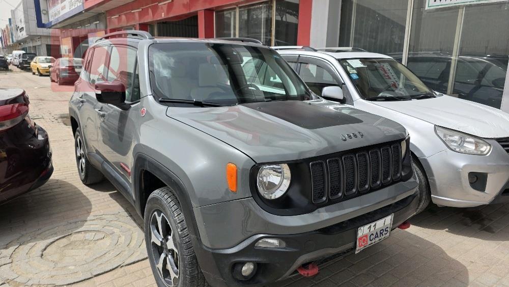 جيب رينيجيد